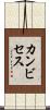 カンビセス Scroll