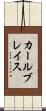 カールブレイス Scroll