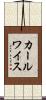 カールワイス Scroll