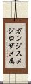 ガンジスメジロザメ属 Scroll