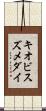 キオビスズメダイ Scroll