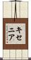 キセニア Scroll