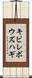 キビレボウズハギ Scroll