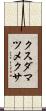クスダマツメクサ Scroll