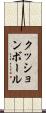 クッションボール Scroll