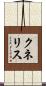 クネリス Scroll