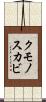 クモノスカビ Scroll