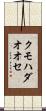 クモハダオオセ Scroll