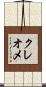 クレオメ Scroll