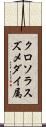クロソラスズメダイ属 Scroll
