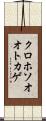 クロホソオオトカゲ Scroll