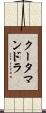 クータマンドラ Scroll