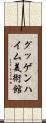 グッゲンハイム美術館 Scroll
