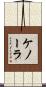 ケノーラ Scroll