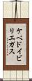 ケベドイビリエガス Scroll