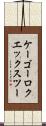 ケーゴーロクエックスツー Scroll