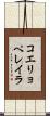 コエリョペレイラ Scroll