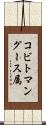 コビトマングース属 Scroll