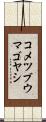 コメツブウマゴヤシ Scroll