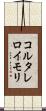 コルタレロイモリ Scroll