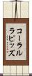 コーラルラピッズ Scroll