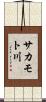 サカモト川 Scroll