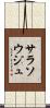 サラソウジュ Scroll