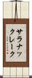 サラナックレーク Scroll
