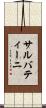 サルバティーニ Scroll