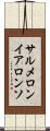 サルメロンイアロンソ Scroll