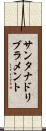 サンタナドリブラメント Scroll