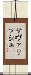 サヴァリッシュ Scroll