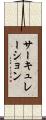 サーキュレーション Scroll
