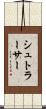 シュトラーサー Scroll