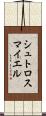 シュトロスマイエル Scroll