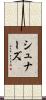 シュナーズ Scroll