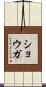 ショウガ Scroll
