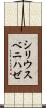 シリウスベニハゼ Scroll