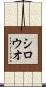 シロウオ Scroll