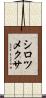シロツメクサ Scroll