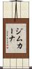 ジムカーナ Scroll