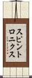 スピントロニクス Scroll
