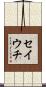 セイウチ Scroll