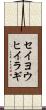 セイヨウヒイラギ Scroll