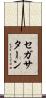 セガサターン Scroll