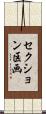セクション区画 Scroll