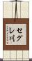 セグレ川 Scroll