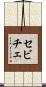 セビチェ Scroll