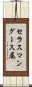 セラスマングース属 Scroll