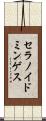 セラノイドミンゲス Scroll